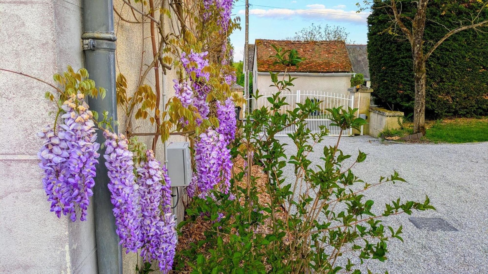 Les 7 Tilleuls - Gite Mesland Exteriér fotografie