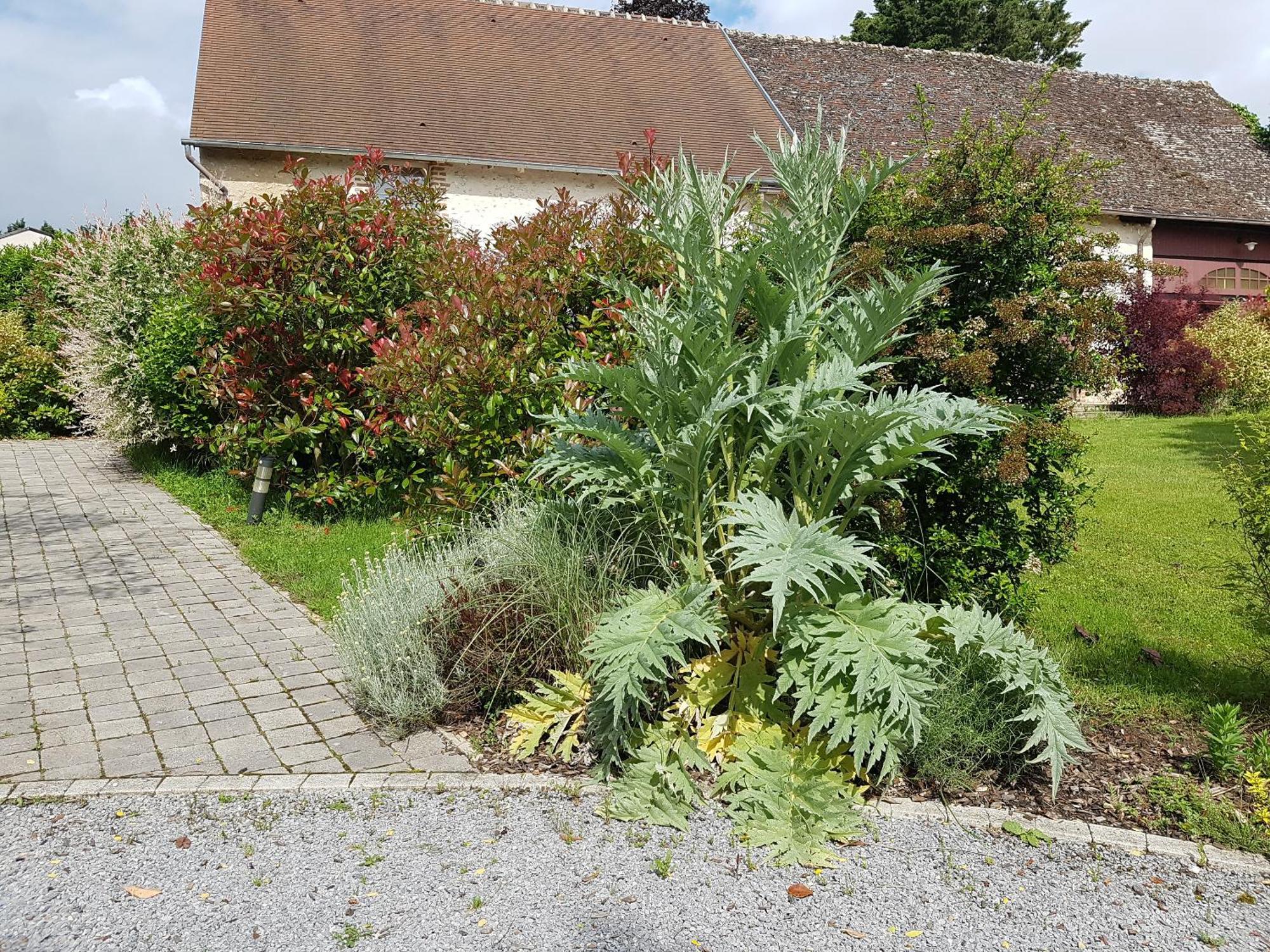 Les 7 Tilleuls - Gite Mesland Exteriér fotografie